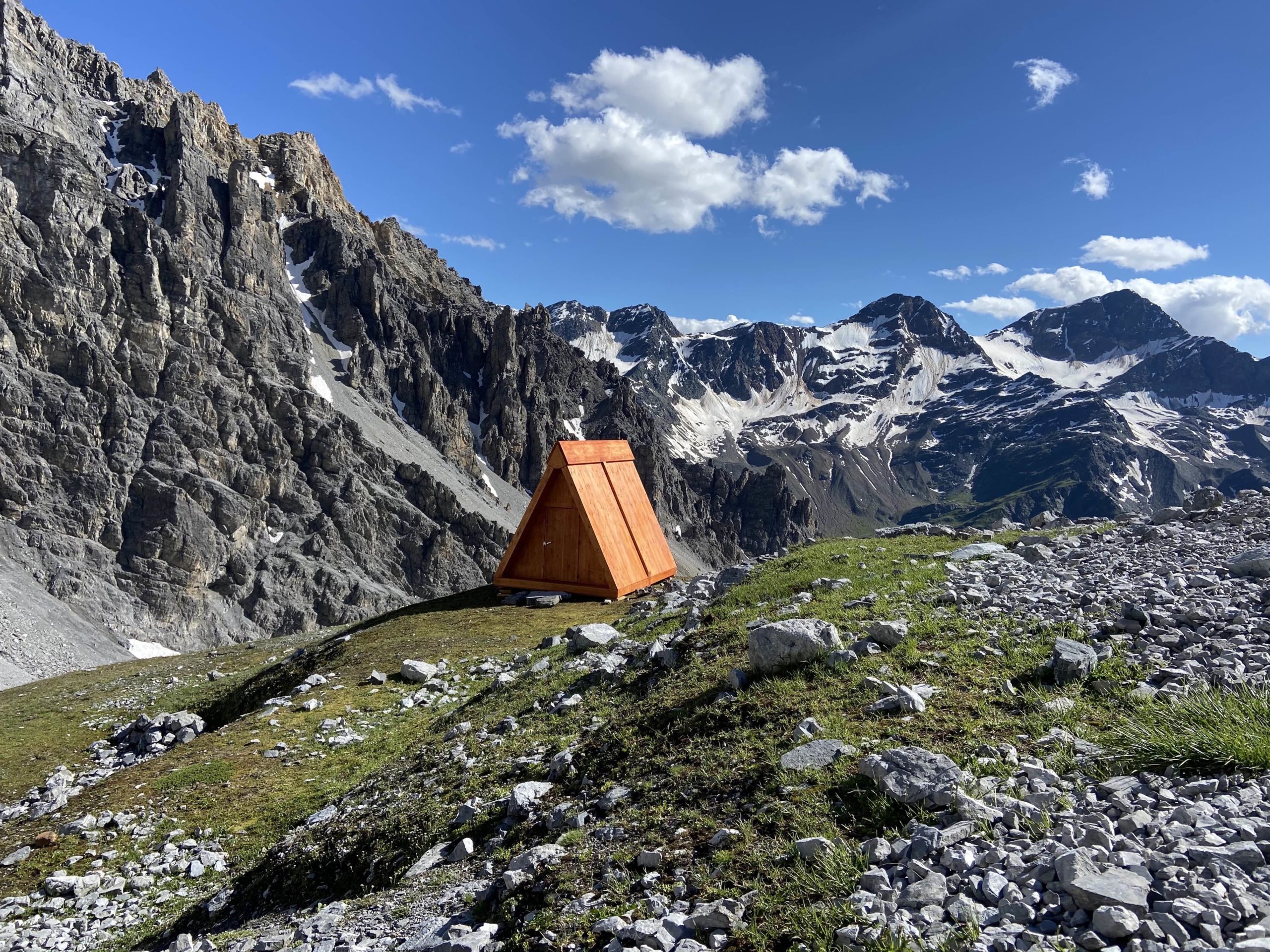 Littlepinealice x Quintoalpini